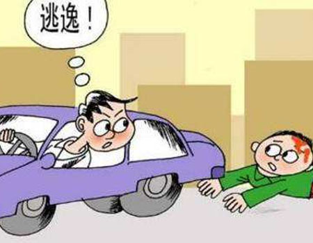 2019新规无证驾驶事故逃逸怎么处罚，醉驾交强险是否赔偿